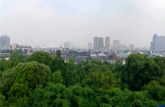 董格格黑料 董格其主打“黑”概念