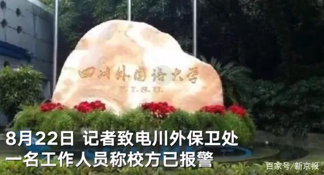 每日大赛在线91