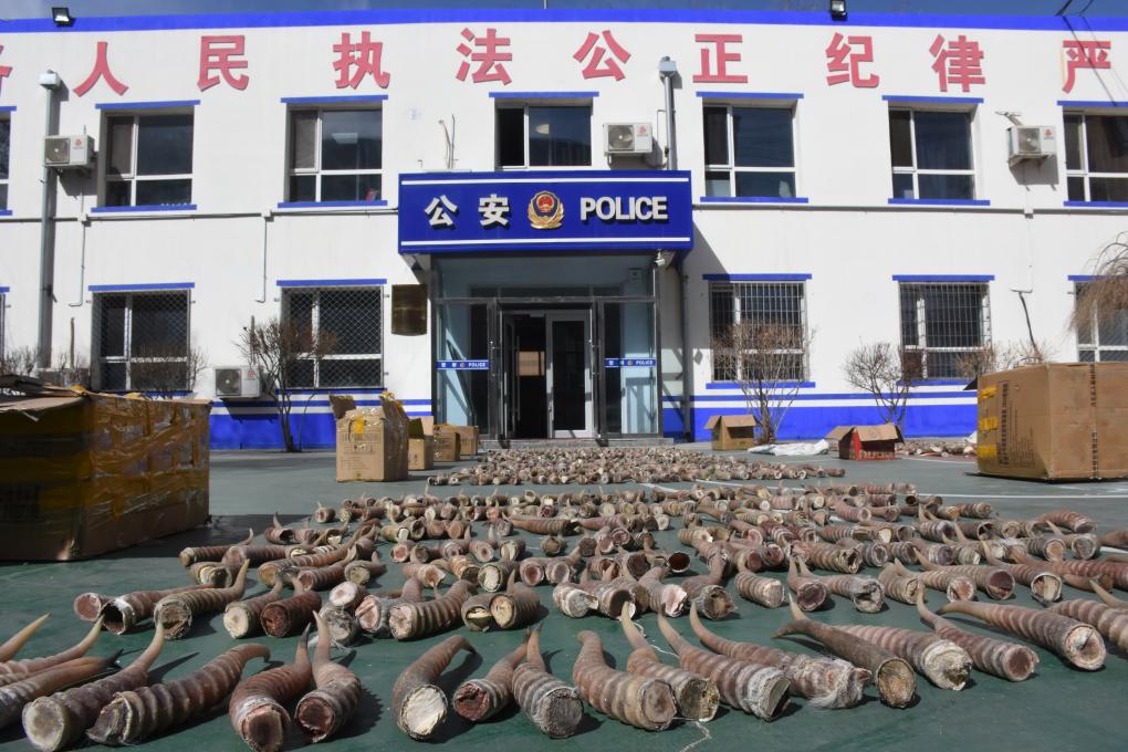 无码人妻丰满熟妇啪啪网站牛牛