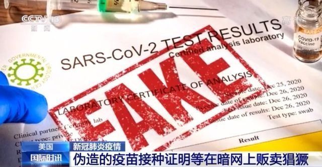 可爱的小小房东