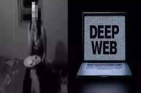 调教室字母圈投稿 社区氛围注重责任与共识