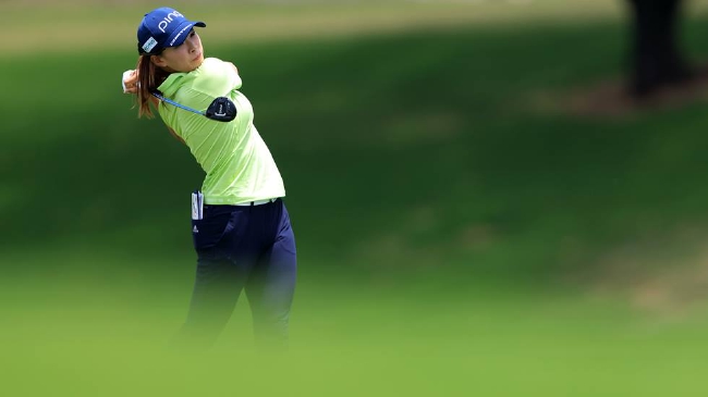 冬日后的樱花漫画 樱花盛开”主题的樱花漫画