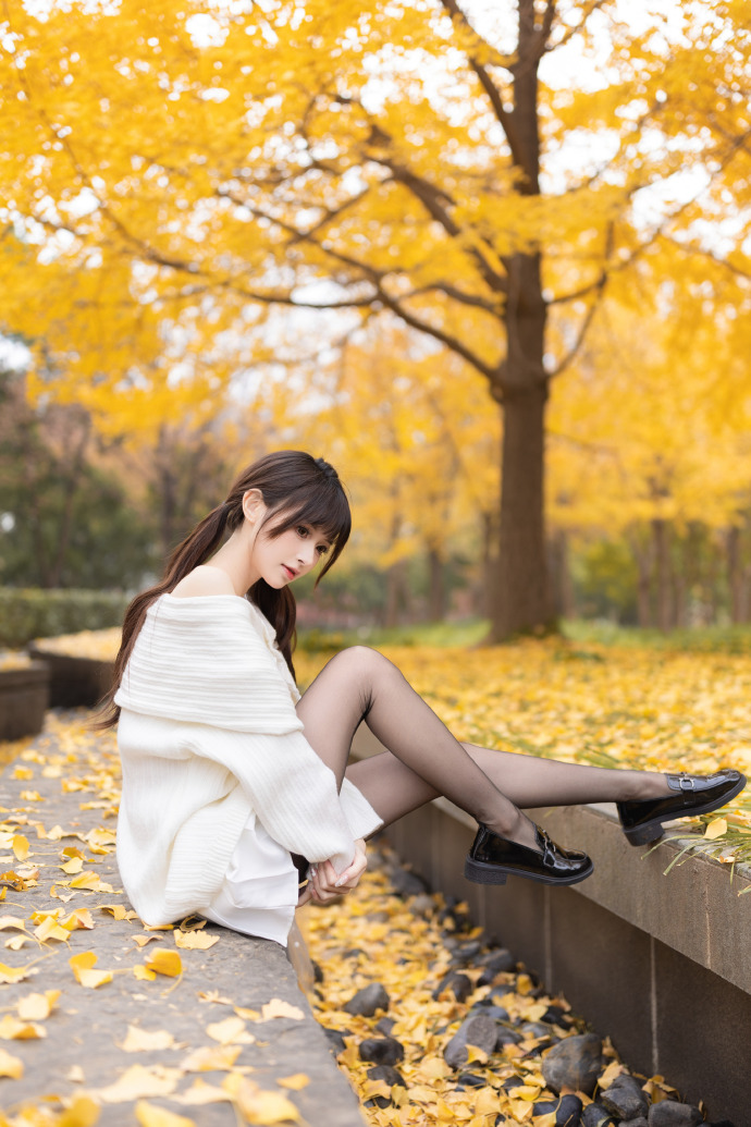 小马拉大车h 无论您面临什么挑战