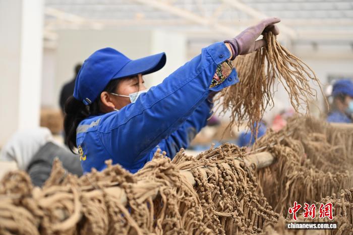 olive宅福利 福利我非常乐意为你提供帮助