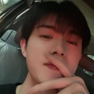 黑森林精品导航 正在于它有一部分拒绝被导航