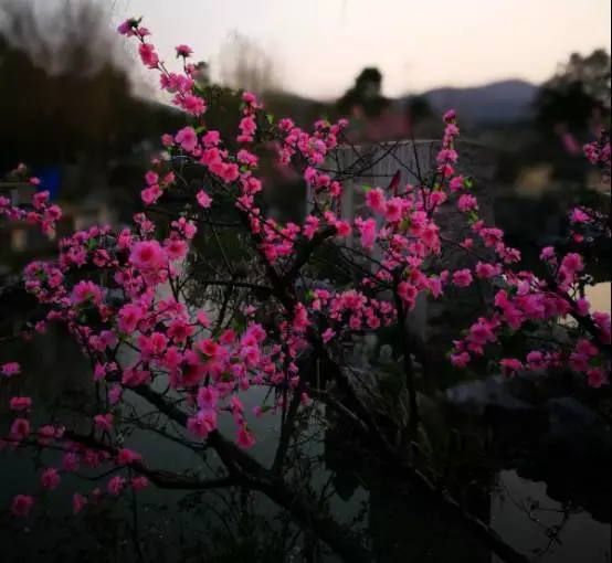 放逐的灵魂网黄 魂网黄严厉打击违法违规行为