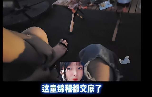 纯情困困狗 虚拟主播或社交账号人设