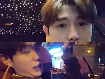 啄木鸟最新电影