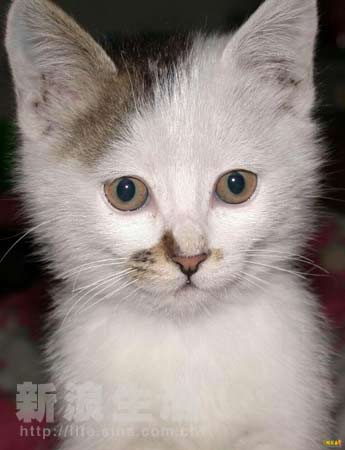 女生下面 为了让我们的对话更有帮助