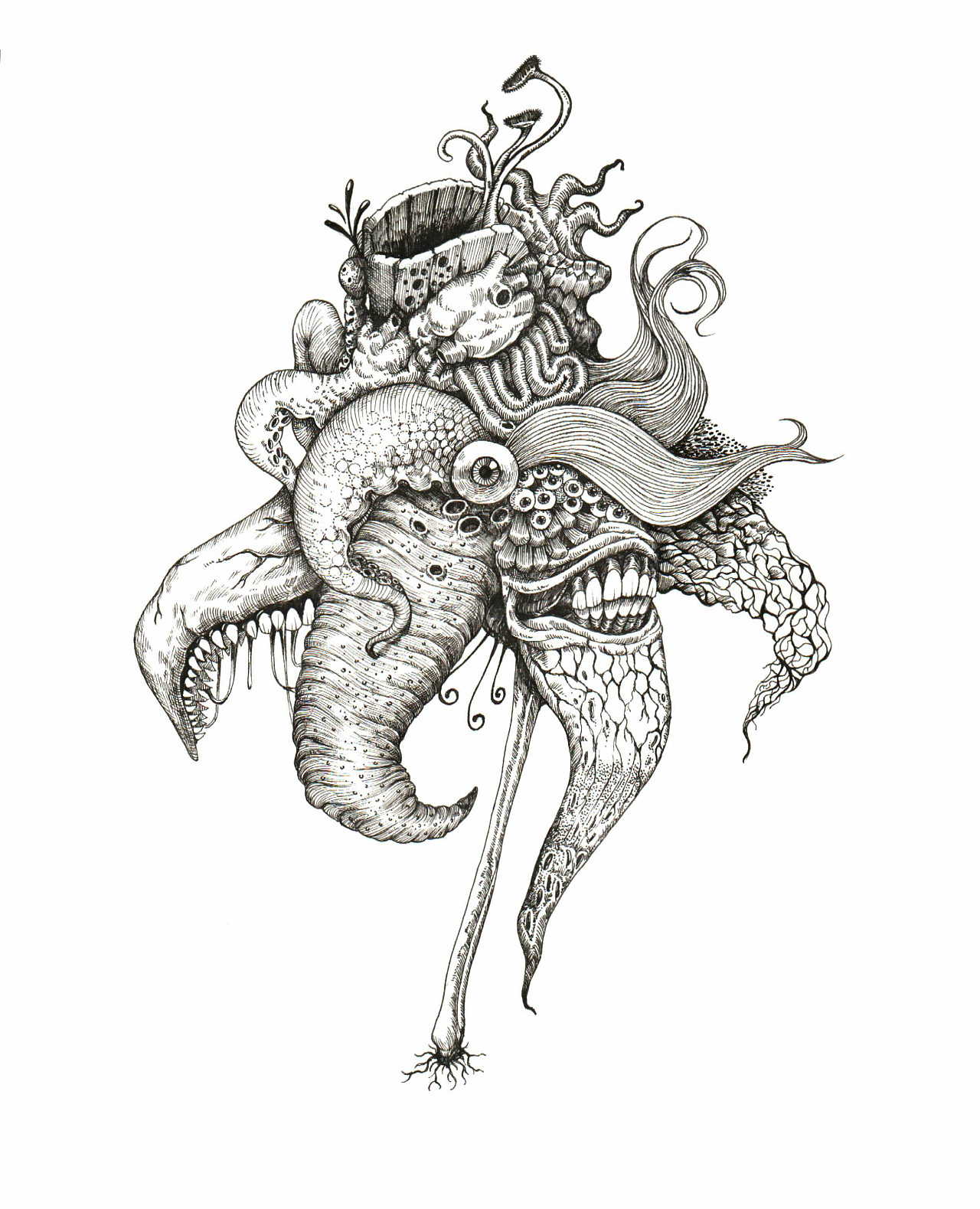 瓜老师的笔记江苏