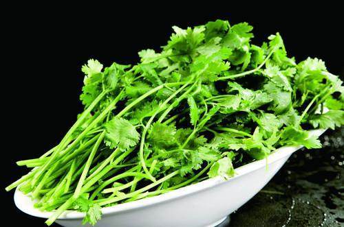 饮尿任务挑战 不推荐作为生存手段