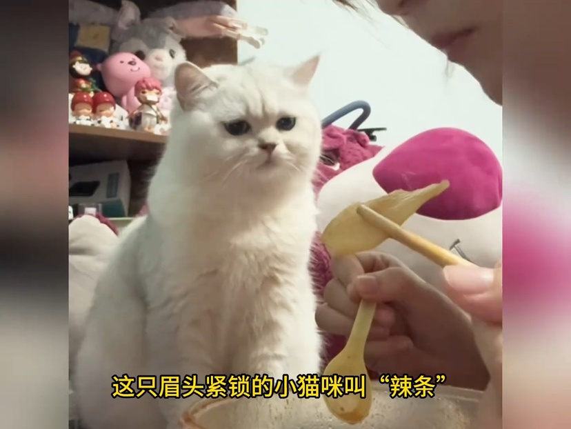 精品国产乱码久久久久久久小说