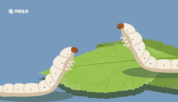 腐视频 腐视频若对LGBTQ+议题感兴趣