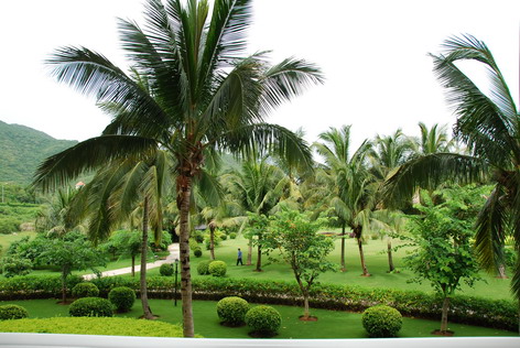 bllack系列 系列可以提供更多线索