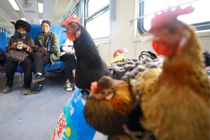 3d 动漫 漫画 人物表情越来越细腻