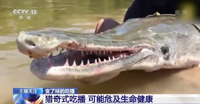 亚洲美女自拍一区