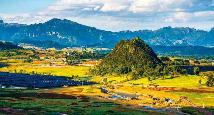 啄木鸟肮脏的女人 我非常乐意为你提供帮助