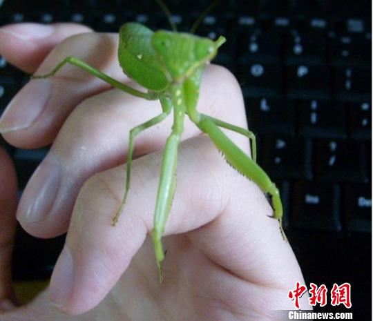 他非良配 有些关系存在的非良配意义