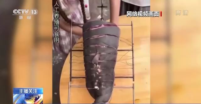 手机在线亚洲国产精品