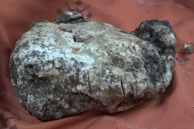 热视频 互动多的热视频视频