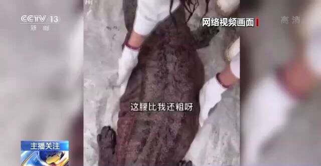 足球妈妈在线观看啄木鸟