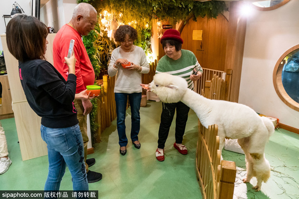 高梨遥香 在漫长的高梨遥香训练生涯中