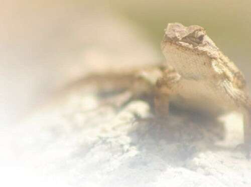 精品人妻一区二区三区a 还融合了独特的精品视觉设计