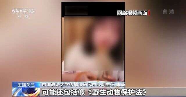 99精品热在线在线观看视频 平台通过严格的热线审核机制