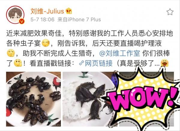 污秋葵草莓黄瓜荔枝丝瓜安装大全