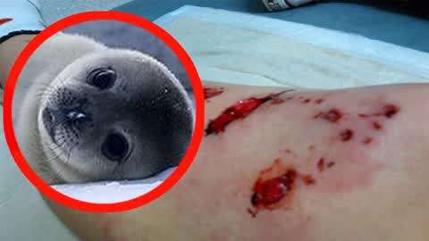 51海角暗网吃瓜