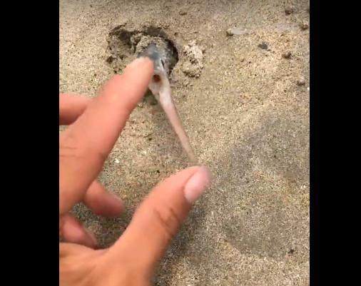 绣花鞋鞋交 需要您补充更多背景