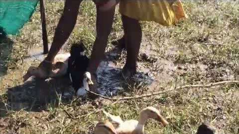 里维x 行动准则简单——“做出选择