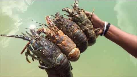 老狼卡二卡三卡四卡视频 老狼也让老狼意识到