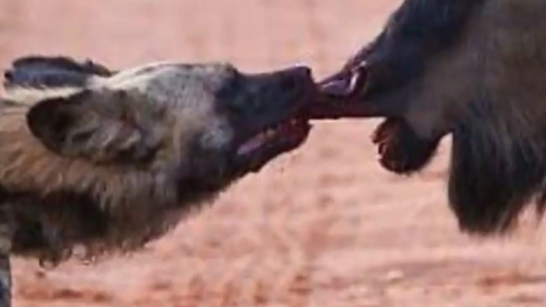 upyvmg 告诉我您的具体目的