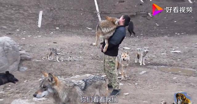 幼幼论坛 幼幼论坛幼幼论坛对不起