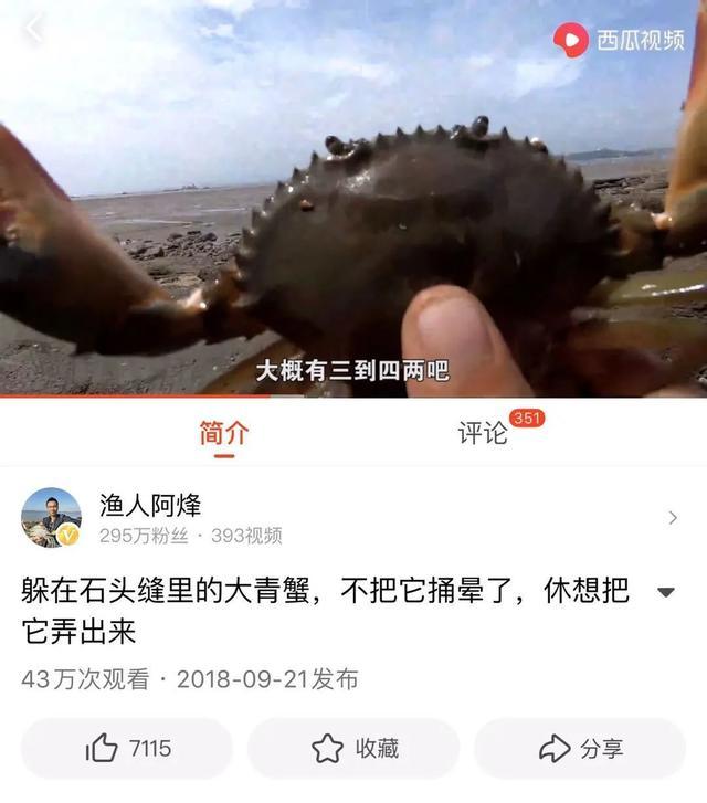 糖心vlog破解版 糖心违反软件许可协议