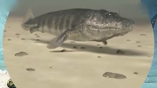 羞羞漫画官方页面免费漫画入口在线阅读秋蝉