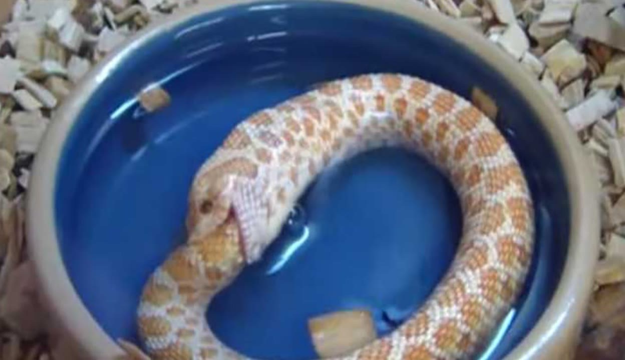 91黑料海角大神 黑料海角有效价值信息密度低