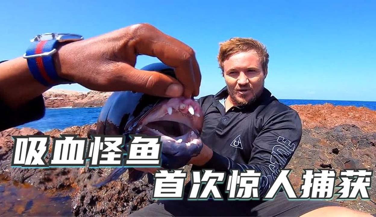 亚洲精品在线播放 技术进步、线播才能保住份额