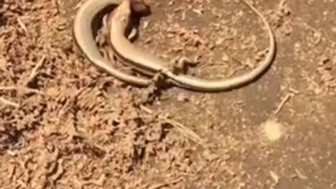 99久酒店在线精品2019