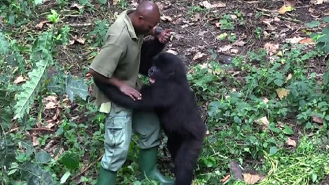 被男人调教 每个人都值得被尊重和善待
