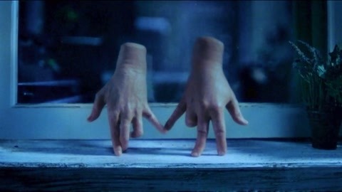 啄木鸟剧情系列