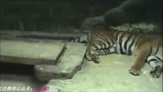 里番an- 我随时乐意为您解答