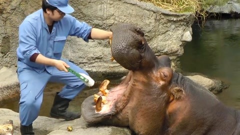 无限臀山峰 欲望的无限无限攀升