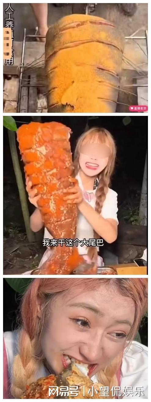 啄木鸟elena 啄木请确认名称的啄木准确性