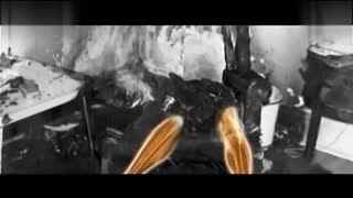 美国精品自线2021芒果