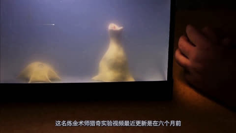 视频在线k观看 以便选择最合适的平台