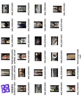 四虎国产精品亚洲永久免费