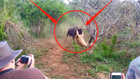 高艺畅 您提到了“高艺畅”这个名字