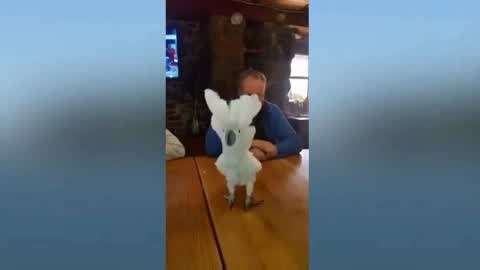 蜜芽跳转接口点击进入免费 这可是蜜芽免费个大话题